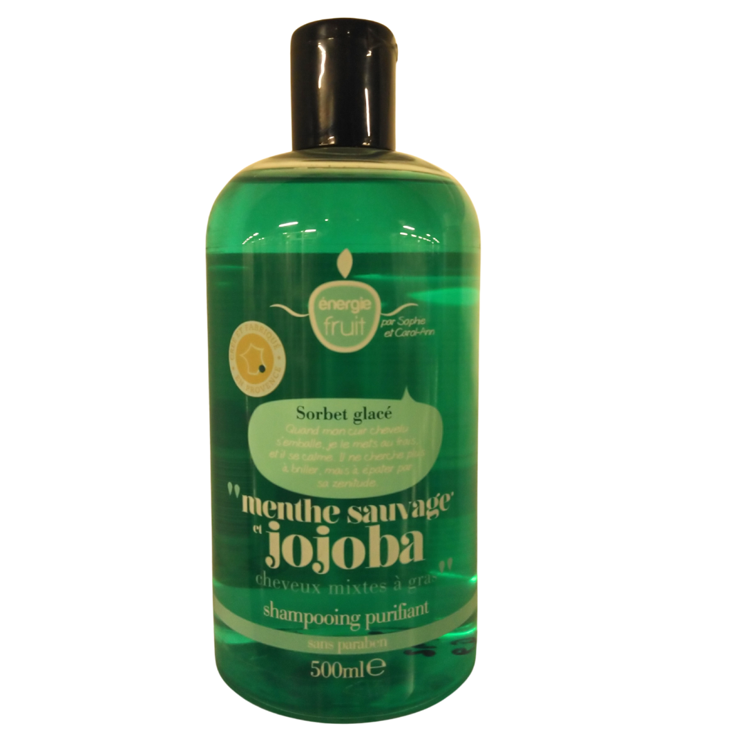 ENERGIE FRUIT SHAMPOO 500 MLPURIFIANT SORBET GLACE