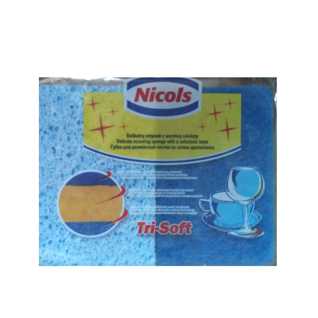 NICOLS SYNTHETISCHE SCHUURSPONS TRI-SOFT 3 IN 1 X2