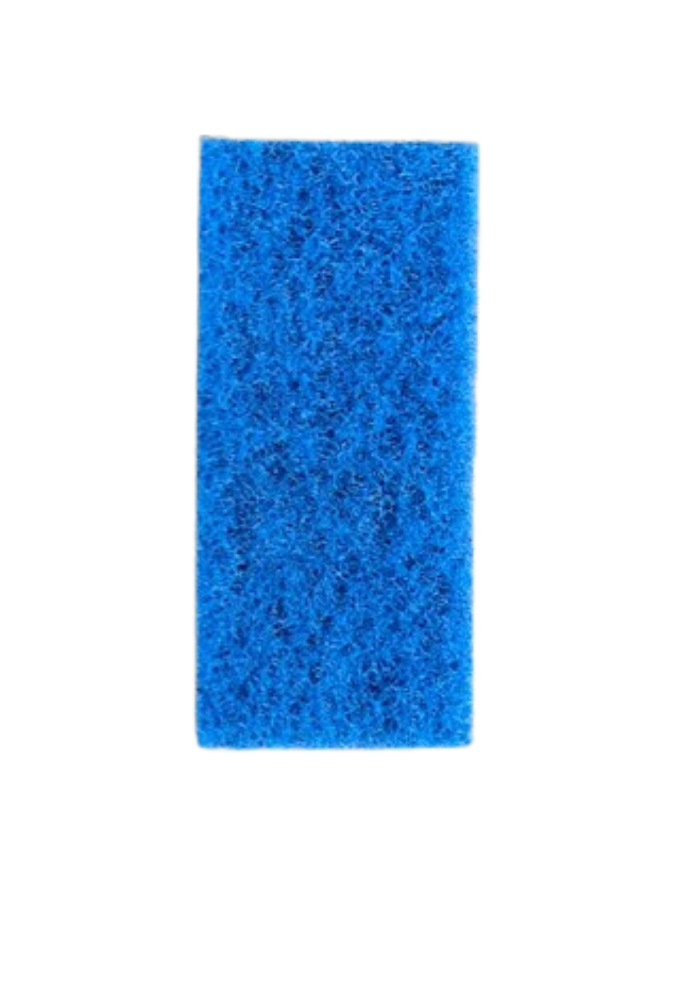SCHUURPAD 25 CM X 10 CM X 2 CM          BLAUW