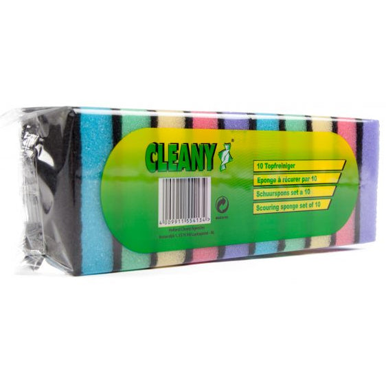 CLEANY SCHUURSPONS 10 ST                9 X 6 X 2.5