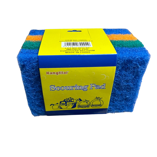 SCHUURPADS 4 ST 9.5 CM X 14.5 CM